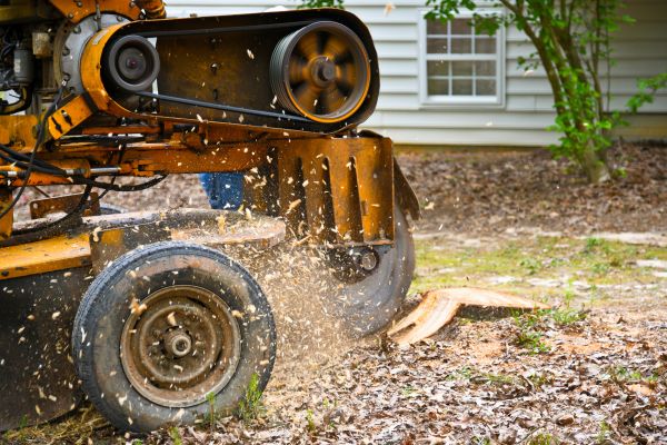 Grow your Tree Root Removal business
