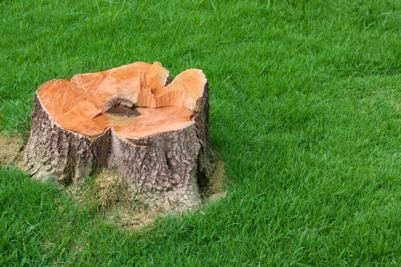 Bush Stump Grinding in Prince Georges County, MD