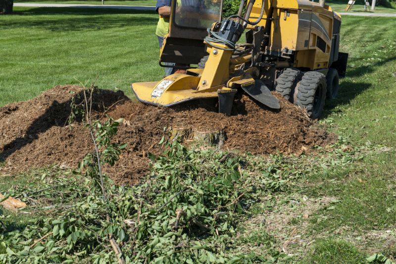 Professional Stump Grinding Equipment