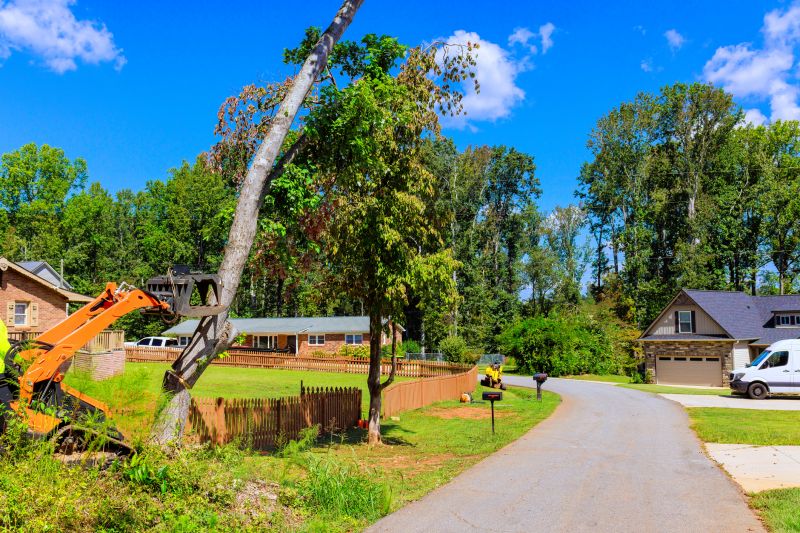 Tree Root Damage Prevention